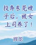 投奔东莞嫂子后，被女上司养了！