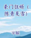豪门狂婿（陈青夏雪）
