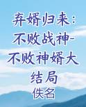 弃婿归来:不败战神-不败神婿大结局