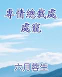 专情的总裁文