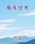 雁阵惊寒