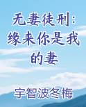 无妻徒刑:缘来你是我的妻