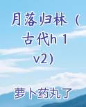 月落归林(古代h 1v2)