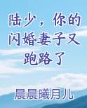 陆少,你的闪婚妻子又跑路了