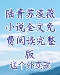 陆青苏凌薇小说全文免费阅读完整版