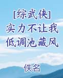 [综武侠]实力不让我低调池藏风