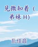 见微知着（弟妹 H）完整版小说