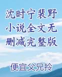 沈时宁裴野小说全文无删减完整版