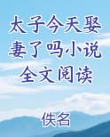 太子今天娶妻了吗小说全文阅读