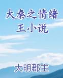 大秦之情绪王小说