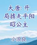 大唐: 开局掳走平阳昭公主