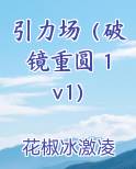 引力场（破镜重圆 1v1）小说全文免费阅读