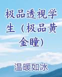 极品透视学生(极品黄金瞳)