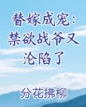 替嫁成宠:禁欲战爷又沦陷了