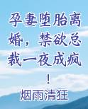 孕妻堕胎离婚,禁欲总裁一夜成疯!